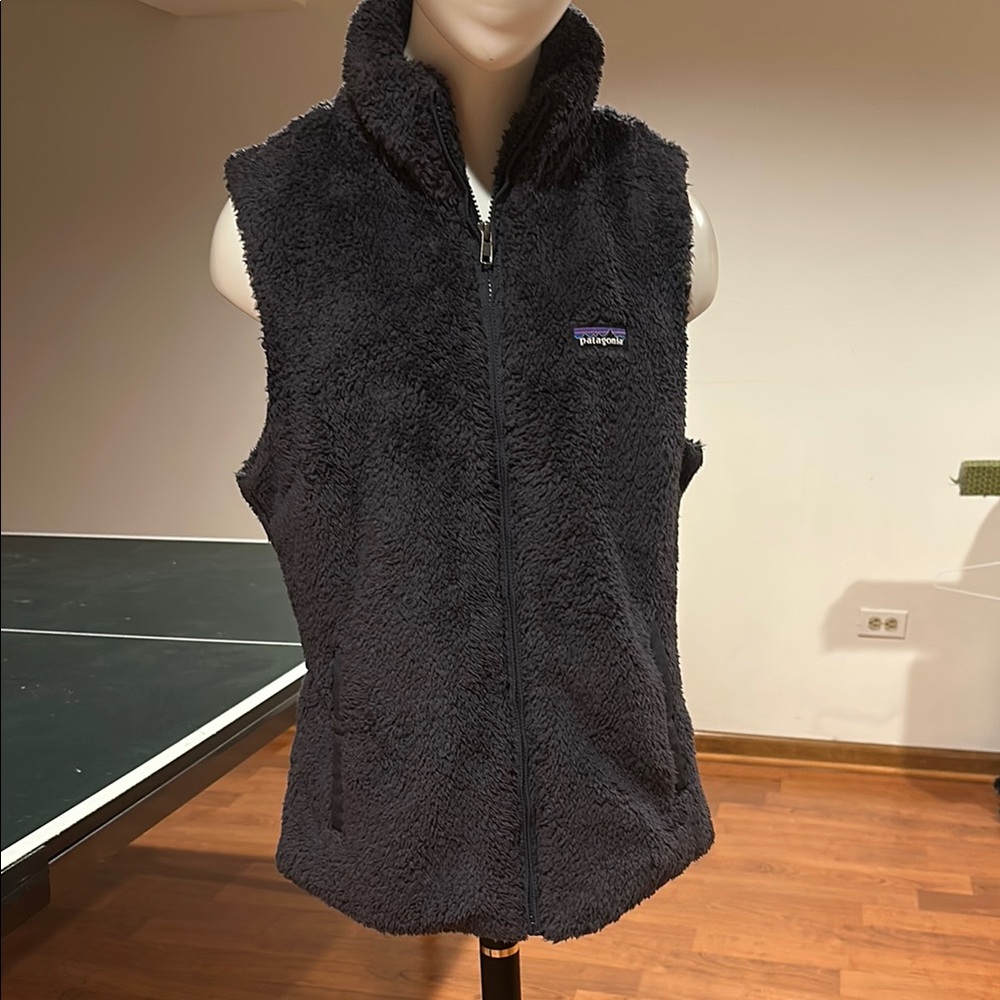 Patagonia Midnight Fleece Vest